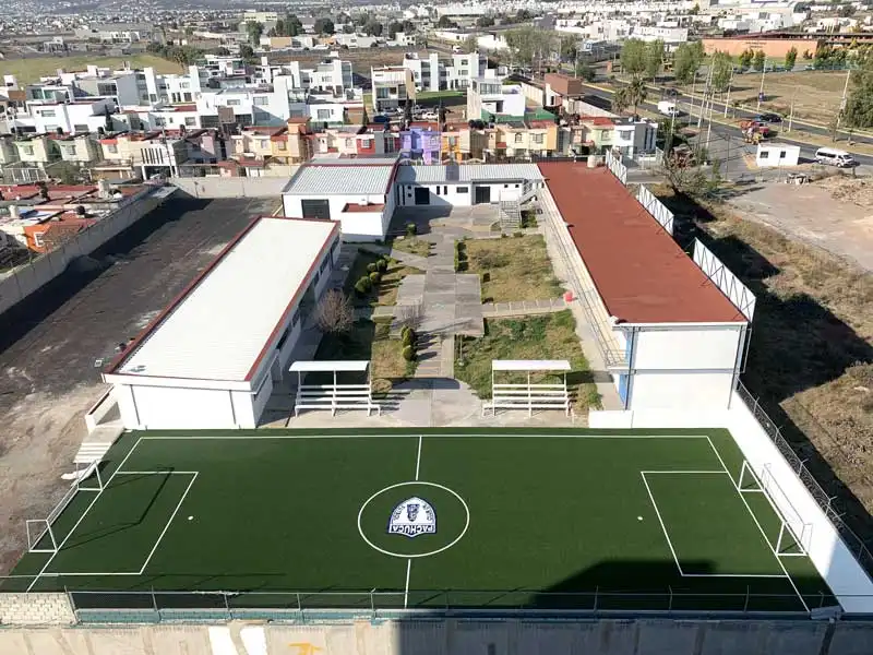 Pasto sintetico en GEMA