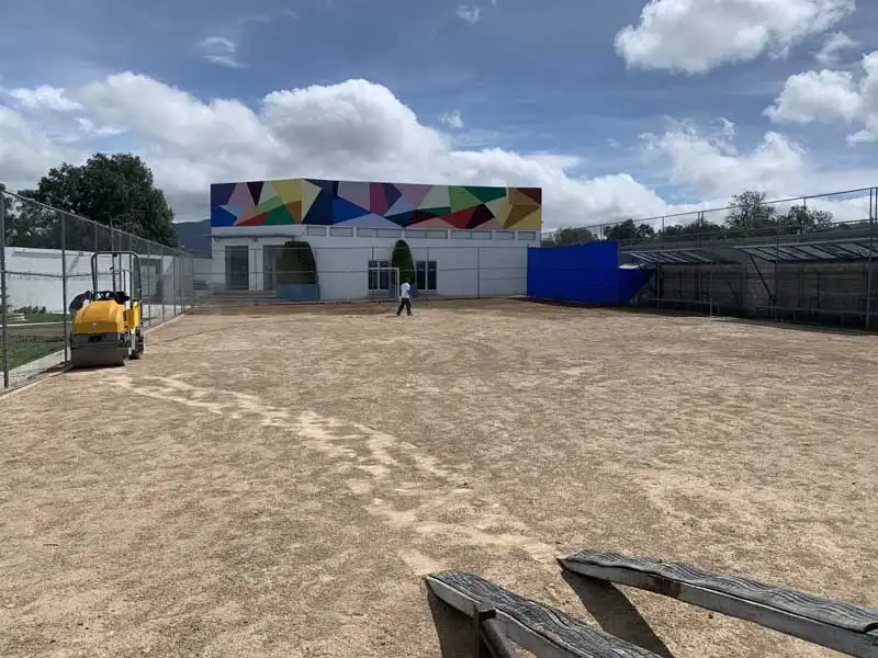 cancha de pato sintetico-Leonard