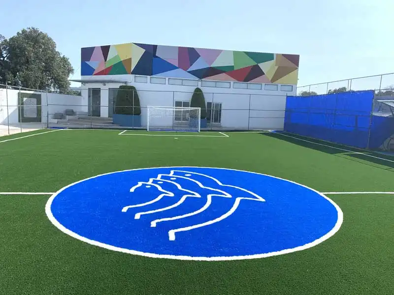 cancha de pato sintetico-Leonard